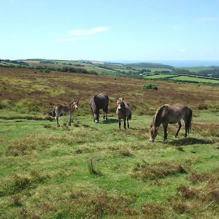 Coombe Farm-2